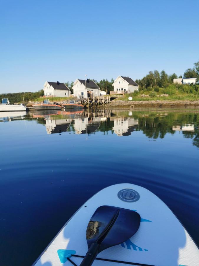 Senja Arctic Lodge Stonglandseidet Ngoại thất bức ảnh