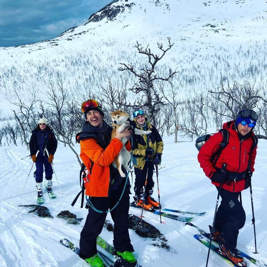 Senja Arctic Lodge Stonglandseidet Ngoại thất bức ảnh