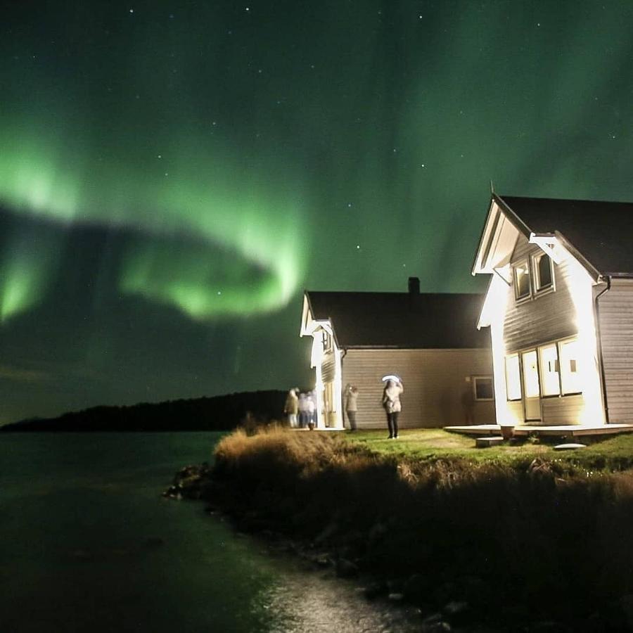 Senja Arctic Lodge Stonglandseidet Ngoại thất bức ảnh